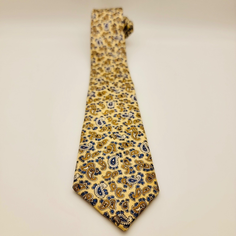 Resilio Collegiate Paisley Necktie Silk Yellow Blue‎ Gold Patterned
